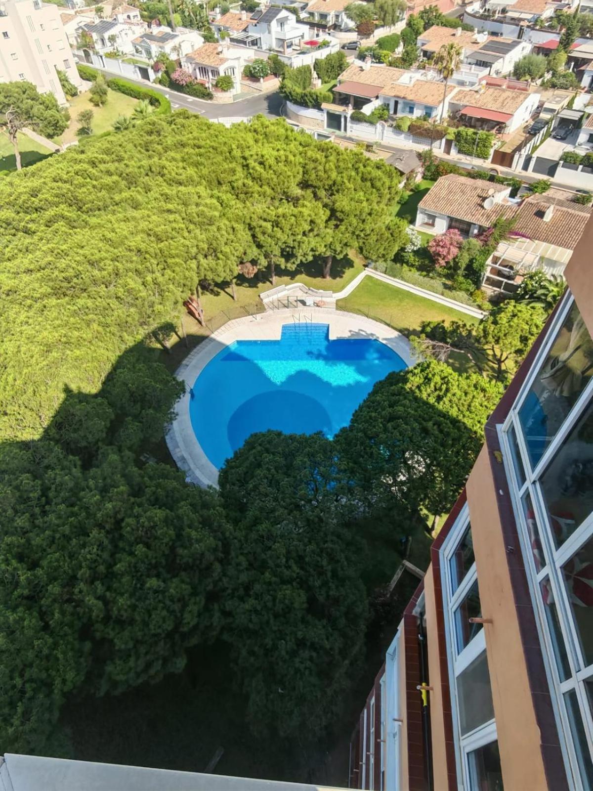 Calypso Holidays Ii Apartment